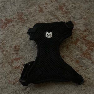 Black Cat Pet Harness
